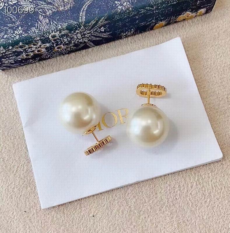 Dior Earring 04lyr378